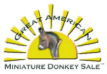Great American Miniature Donkey Sale Logo - White  Bkg